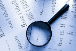 Камеральная проверка может быть проведена только в течение 30 календарных дней |