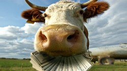 ������ �� ������� �������������� ���������� �������������������� ��������� ������������� �� ��������������� | 